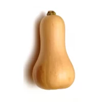 Courge Butternut