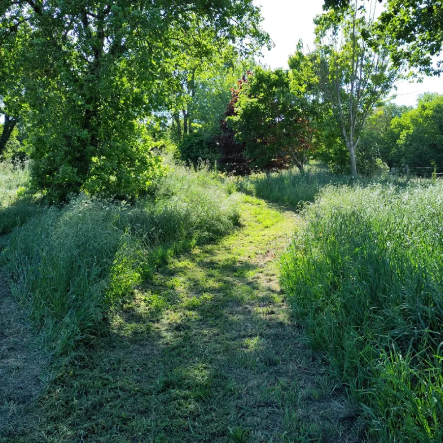 Incubateur de biodiversité